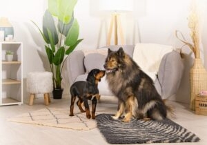 Tappeto isolante per cani 75 x 95 cm grigio con motivo vegetale ZO