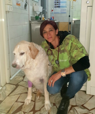 Chiedere consiglio al veterinario è importante NEWS