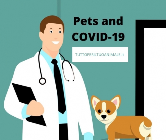 La posta del cuore dei nostri amici animali di Imma Paone NEWS