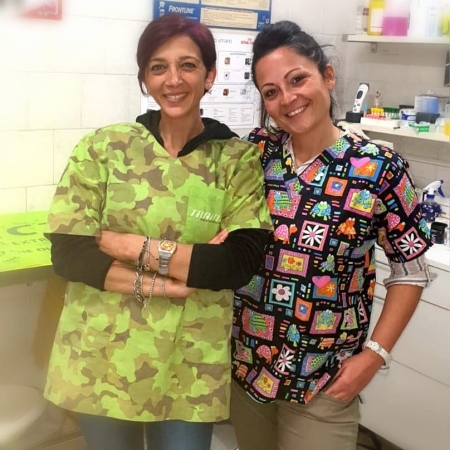 ACCANIMENTO TERAPEUTICO. NEWS