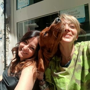 Vacanza con i nostri amici a quattro zampe. NEWS