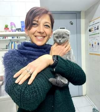 IMMA PAONE. LA PROCESSIONARIA, TERRIBILE LEPIDOTTERO