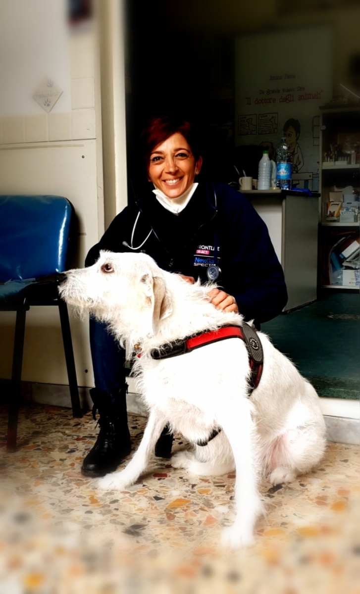 LA POSTA DEL CUORE DEI NOSTRI AMICI ANIMALI DI IMMA PAONE.LA PULIZIA DEI DENTI 