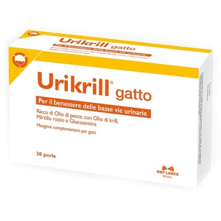 URIKRILL GATTO Gatti