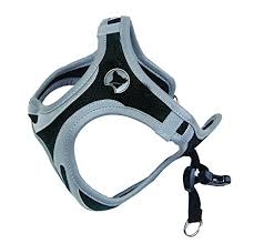 HIKING PETTORINA REFLECTIVE XL NAVY