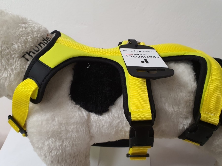 PETTORINA PRATIKO ENERGY ANTIFUGA LYCRA 