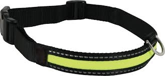 COLLARE REGOLABILE RICRICABILE LED MD NYLON 