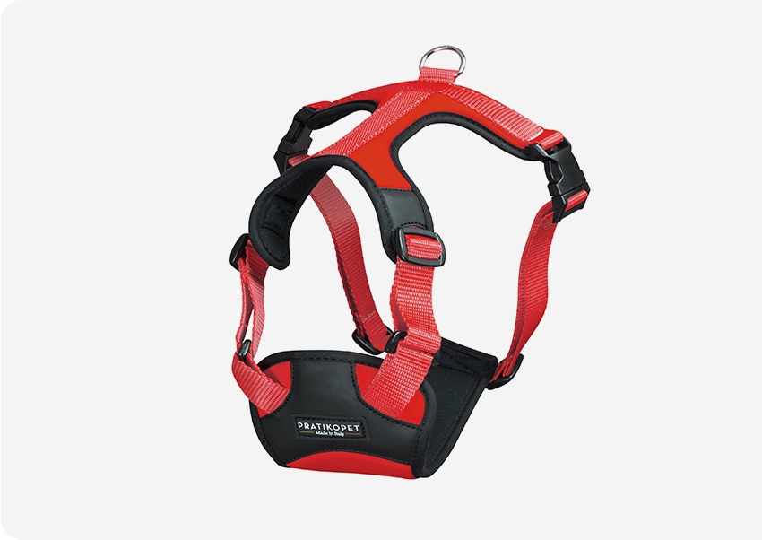 PETTORINA ENERGY LYCRA CHIUSURA DOPPIO CLIP