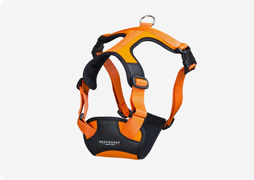 PETTORINA ENERGY LYCRA CHIUSURA DOPPIO CLIP