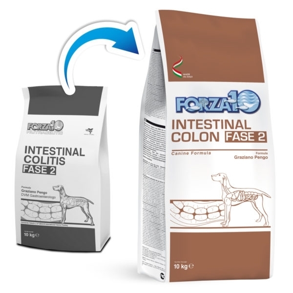 FORZA 10 ACTIVE INTESTINAL COLON FASE 2 PESCE DRY 