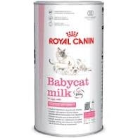 ROYAL CANIN BABYCAT MILK Gatti