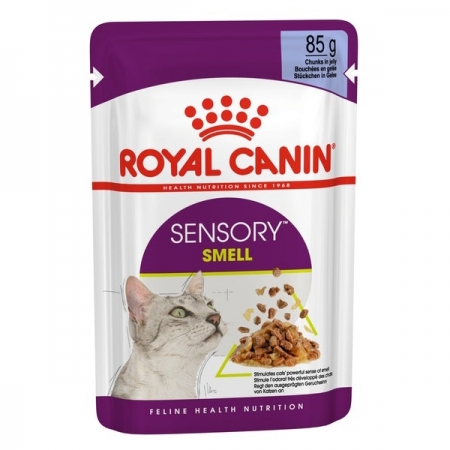 ROYAL CANIN  SENSORY SMELL BOCCONCINI IN GELATINA Gatti