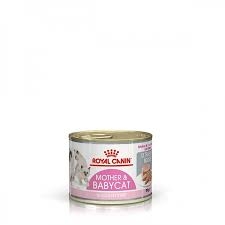 ROYAL CANIN MOTHER & BABYCAT MOUSSE 