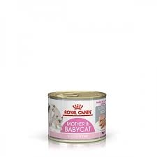 ROYAL CANIN MOTHER & BABYCAT MOUSSE Gatti