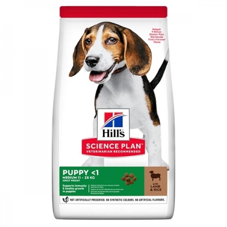 HILL'S SCIENCE PLAN MEDIUM PUPPY CON AGNELLO E RISO Cani