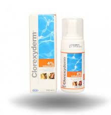 I.C.F.  CLOREXYDERM SOLUZIONE 4% SCHIUMA 