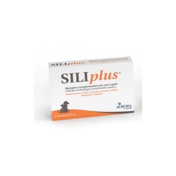 AURORA BIOFARMA SILIPLUS 