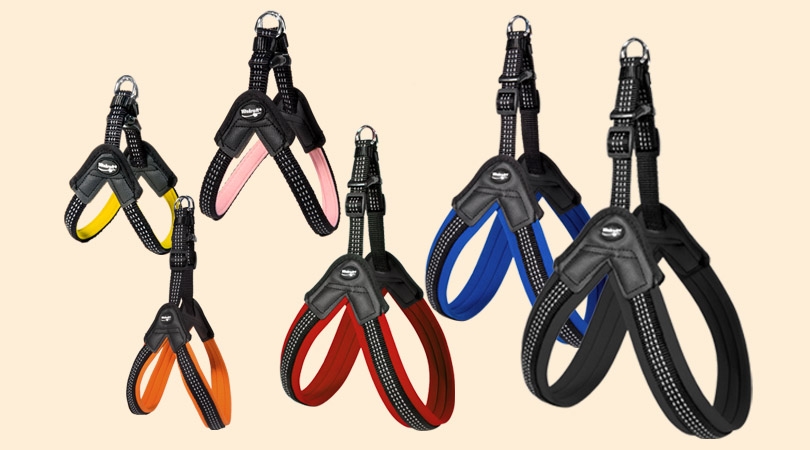 PETTORINA EVOLUTION REGOLABILE 