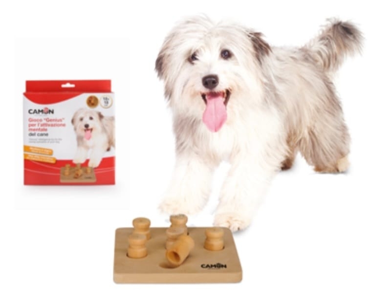 CAMON GIOCO ATTIVAZIONE MENTALE PER CANI GENIUS QUADRATO CON SEI FORI