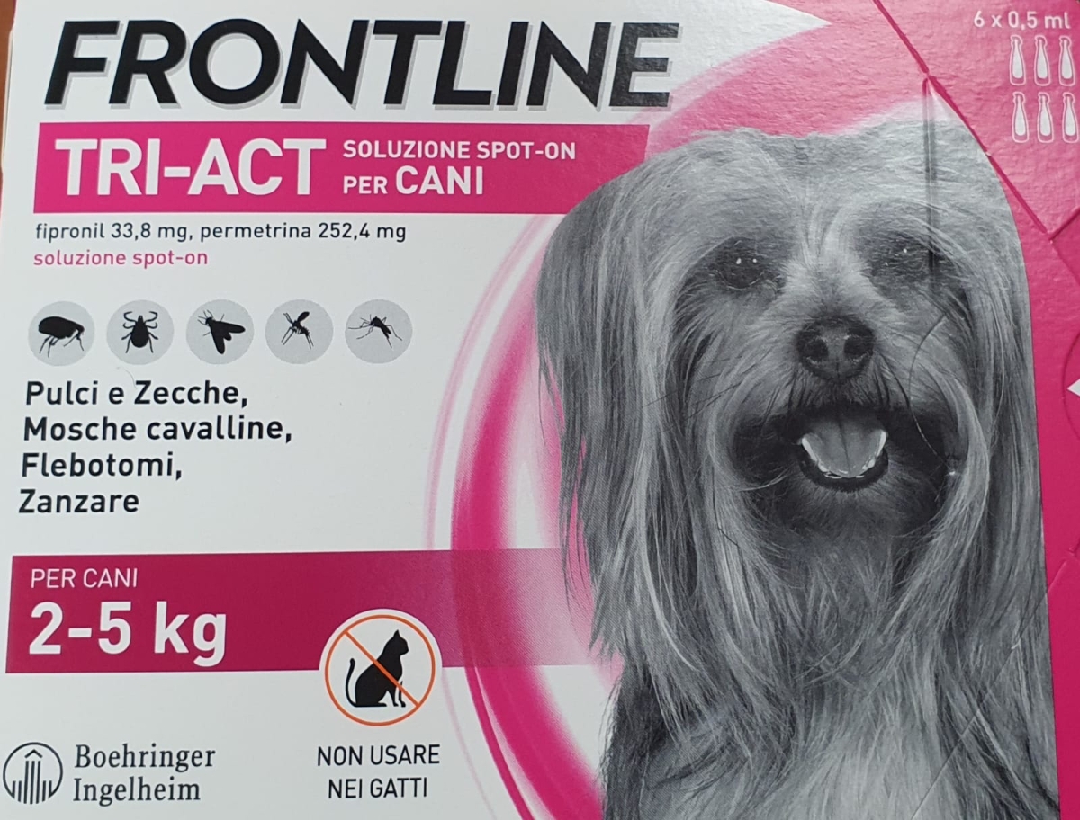BOEHRINGER INGELHEIM FRONTLINE TRI-ACT  SPOT ON XS 6 PIP