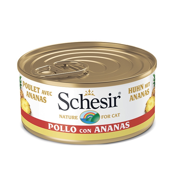 SCHESIR FILETTI DI POLLO CON ANANAS 