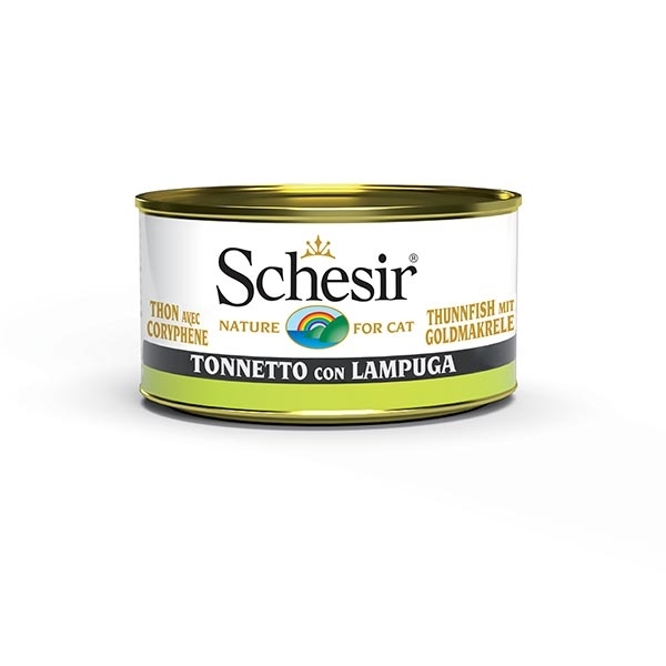 SCHESIR SPECIALITÀ DEL MARE TONNETTO E LAMPUGA IN GELATINA 