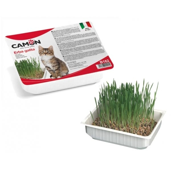 CAMON ERBA PER GATTO 