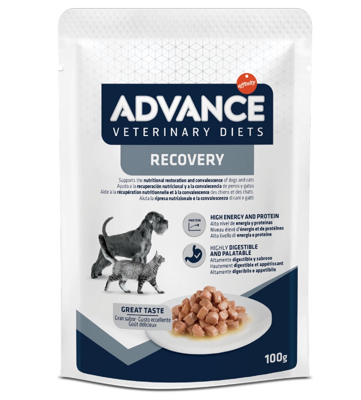 ADVANCE DIET DOG & CAT RECOVERY WET 