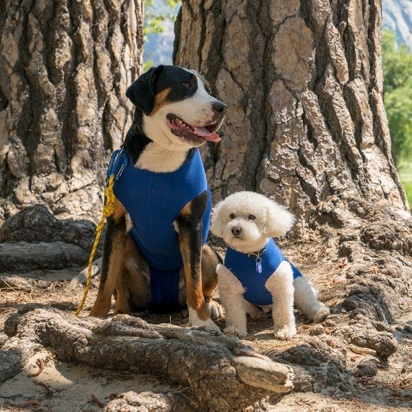BALTO RECOVA SHIRT MAGLIETTA POST-OPERATORIA ANTILECCAMENTO