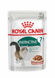 ROYAL CAT INSTINCTIVE 7 + Gatti
