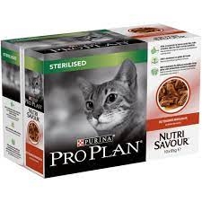 PRO PLAN STRLS CAT GIG MANZO Gatti