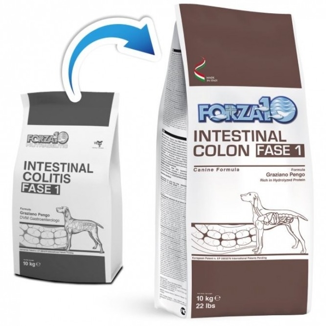FORZA 10 ACTIVE INTESTINAL COLON FASE 1 