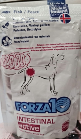 FORZA 10 INTESTINAL  ACTIVE PESCE Cani