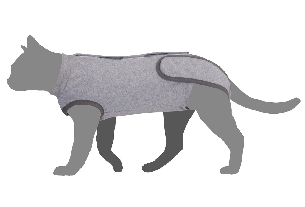 CAMON TUTINA POST OPERATORIA PER GATTI 