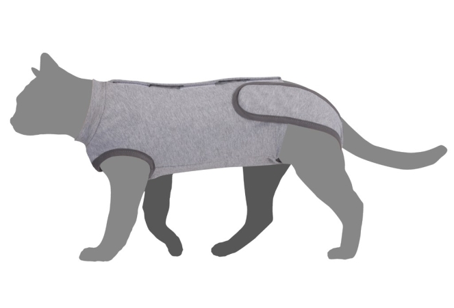 CAMON TUTINA POST OPERATORIA PER GATTI Gatti