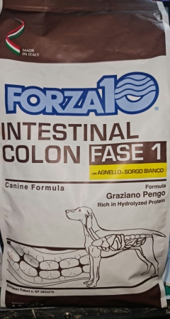 FORZA 10 INTESTINAL COLON FASE 1 AGNELLO Cani