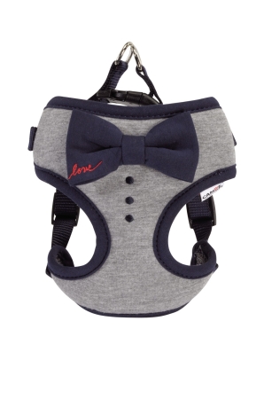 CAMON PETTORINA GRIGIA CON FIOCCO BLU  LOVE Cani