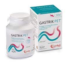CANDIOLI GASTRIK PET 
