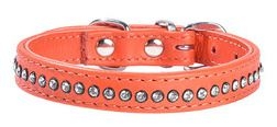 CROCI COLLARE ECLAT ARANCIO Cani