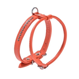 CROCI PETTORINA ECLAT ARANCIO Cani