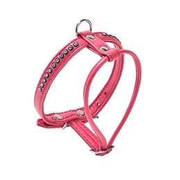 CROCI PETTORINA ECLAT ROSA Cani