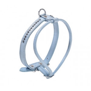 CROCI PETTORINA ECLAT BLU Cani