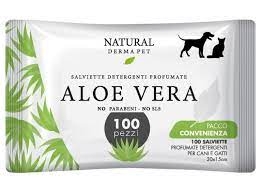 DERBE SALVIETTE DETERGENTI PROFUMATE ALOE VERA BIG PACK 