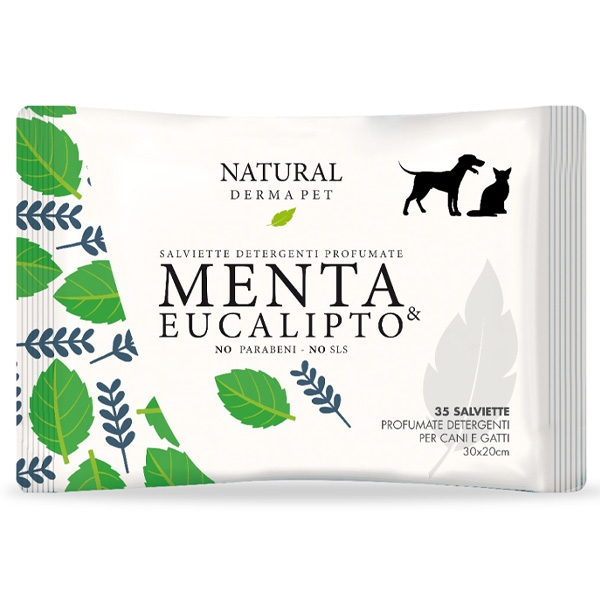 DERBE SALVIETTE DETERGENTI PROFUMATE ALLA MENTA & EUCALIPTO 