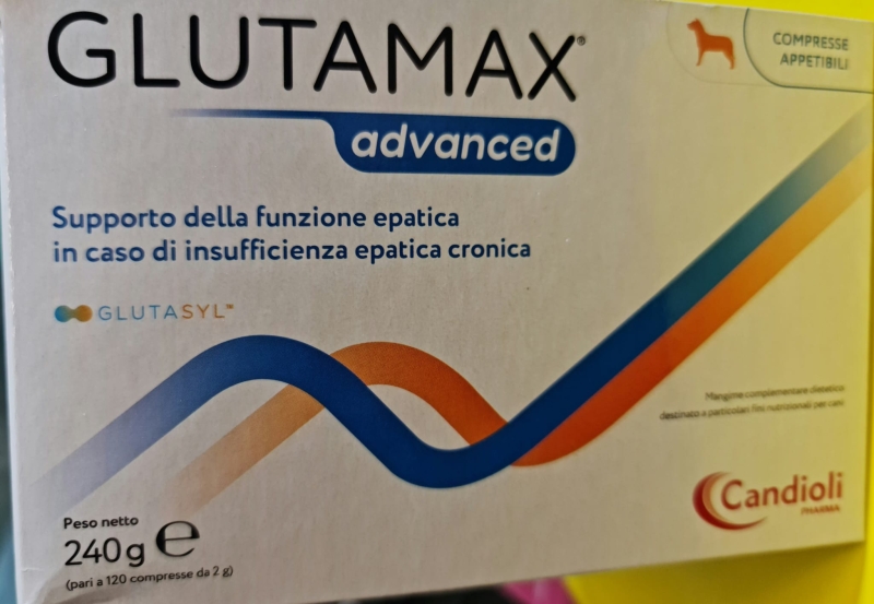 CANDIOLI GLUTAMAX ADVANCED CANI 