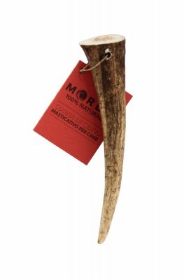 MORDO CORNA DI CERVO S 