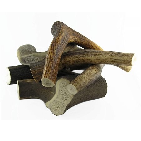 MORDO CORNA DI CERVO L 