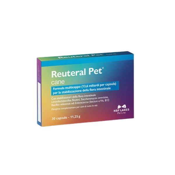 NBF LANES REUTERAL PET CANE 