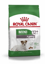 ROYAL CANIN MINI ADULT 12+ Cani