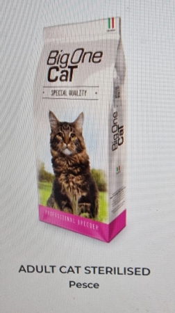 ADULT CAT BIG ONE CHICKEN Gatti